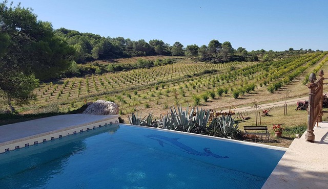 Renovated farmhouse in the heart of nature, ideal for a peaceful vacation