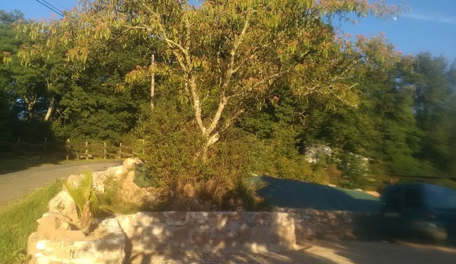 Renovated farm in Domme Périgord Noir near Sarlat