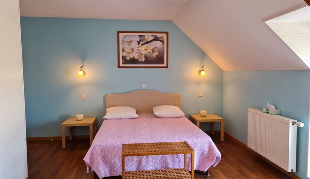 Renovated farm near Beaugency, 4 rooms, homemade breakfast, near Loire à Vélo