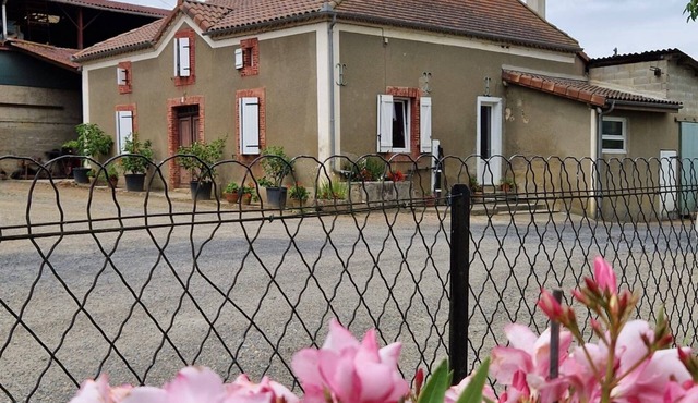 Renovated farmhouse in the Gers - 4 bedrooms