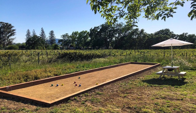 Renovated farmhouse with vineyard views, bocce ball court, Ping-Pong, basketball