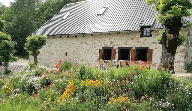 Renovated farmhouse between woods and meadows