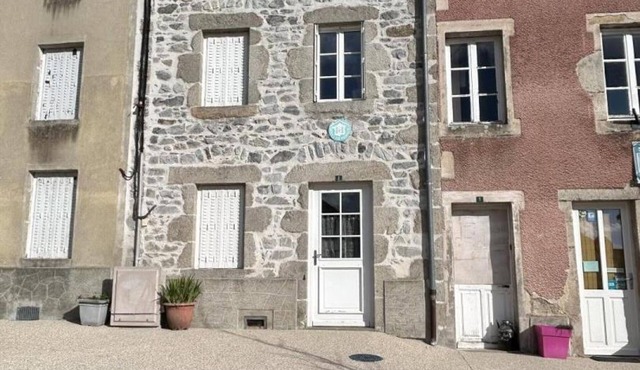 Renovated stone house with patio in Ferrières-sur-Sichon