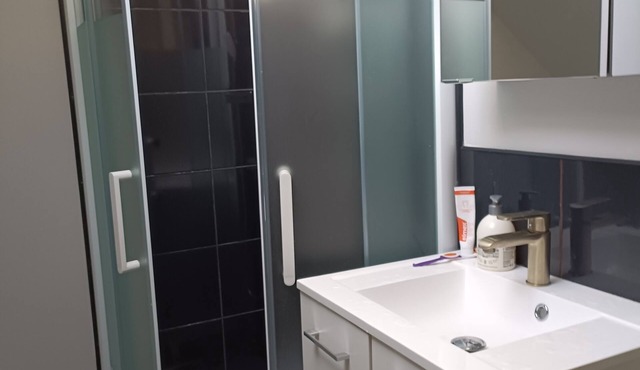 Renovated house in a charming Sologne town