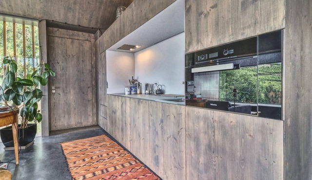 Renovated Historic Barn in Mountain Village