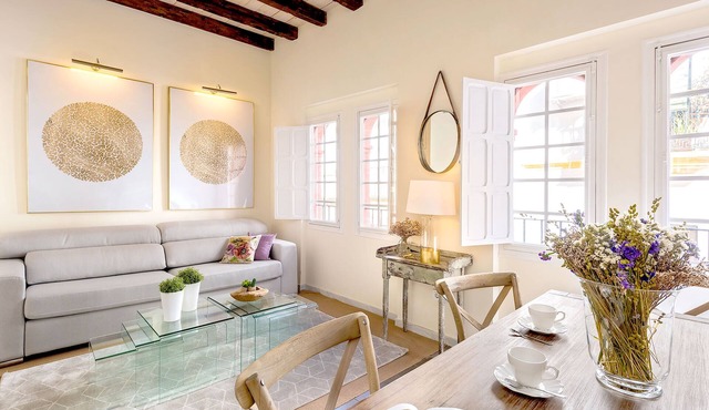 Renovated Historic House with Rooftop Terrace. Casa Galera Terrace