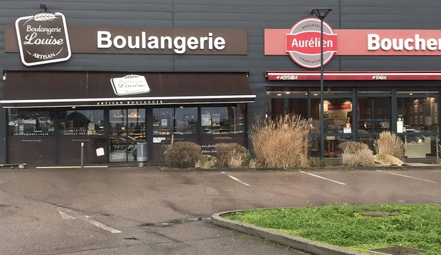 Renovated house with garage and 300 M2 of land,