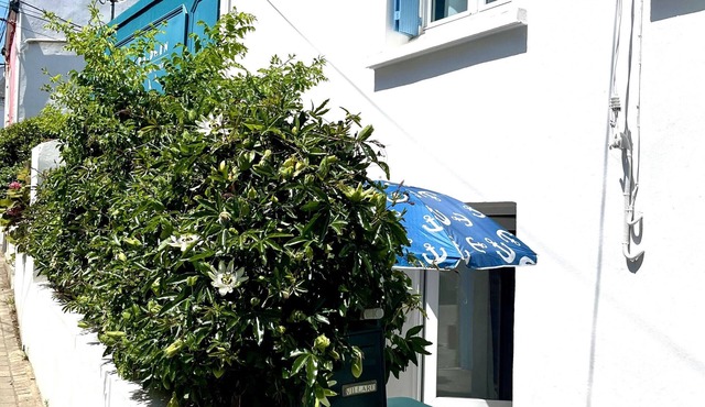 Renovated house in town center, 3 bedrooms, near shops