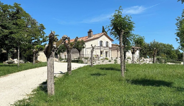Renovated house with swimming pool on 2ha in the Quercy, Pets welcome!