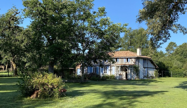 Renovated Landaise farmhouse on a 4000m2 airial with swimming pool and outbuildings