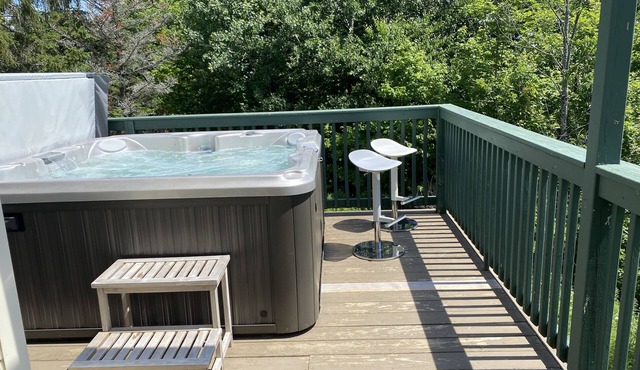 Renovated Luxury 4 Bedroom 3.5 Bath Okemo Trailside