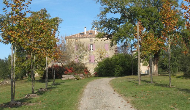 Renovated medieval Château surrounded by truffle trees in SW France.