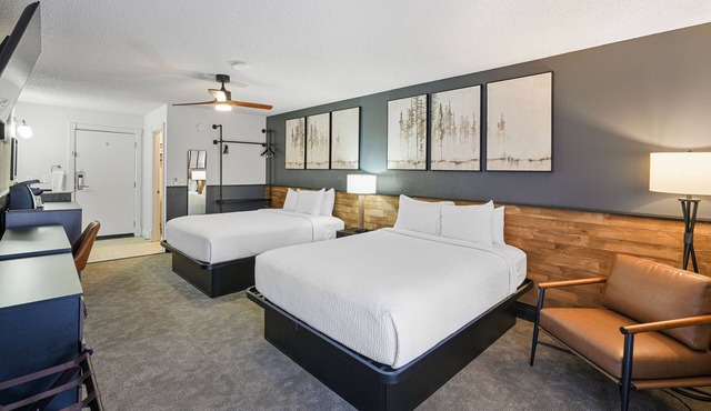 Renovated Pet-Friendly Double Room