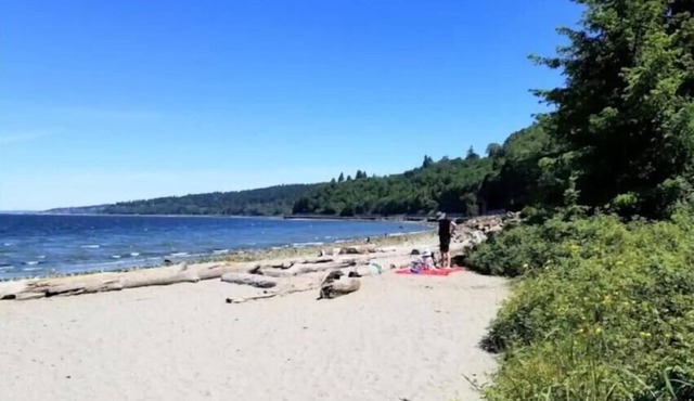 RENOVATED SEATTLE MIL 2-3BR 1BA Kitchen WD