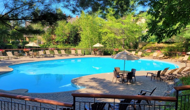 RENOVATED- Ski in&out/Walk to village/Corner Unit/Pool (summer) Sunny/Views/AC