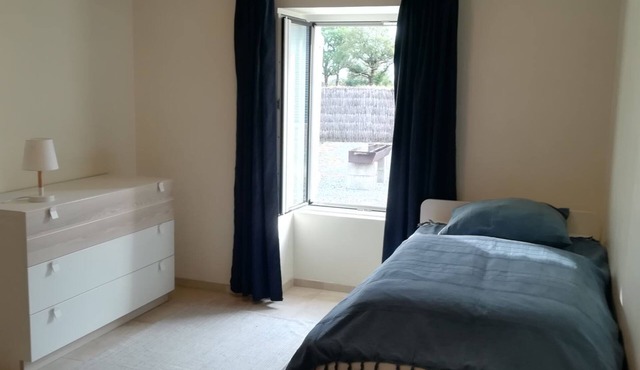 Renovated, spacious, quiet and bright farmhouse in the middle of meadows