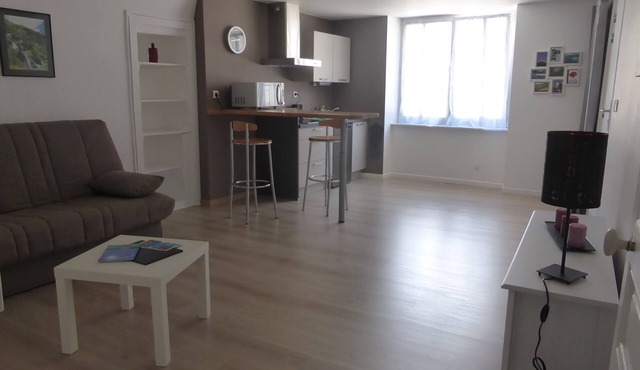 Renovated studio in the center of Clairvaux-les-lacs