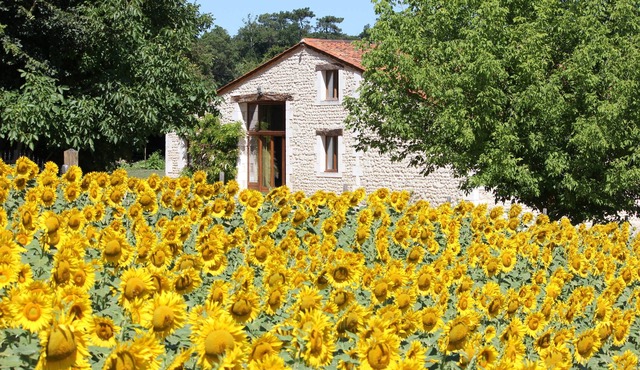 Renovated Stone Barn With Private Pool And Superb Views