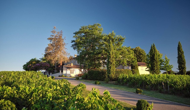 Renovated Stone House with Garden in the Heart of the Saint-Émilion Vineyards