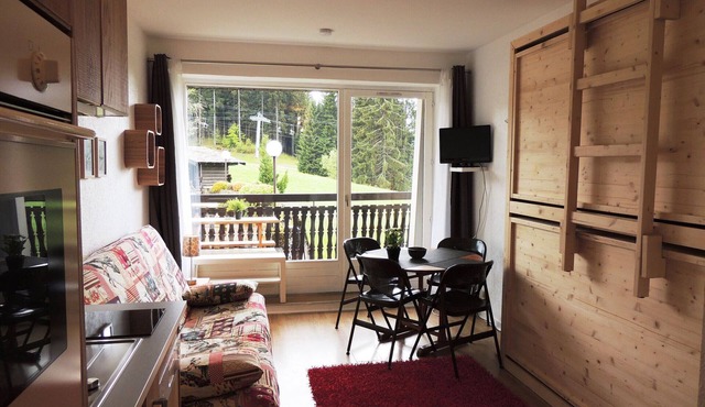 Renovated studio ski-in/ski-out, balcony, pool, parking