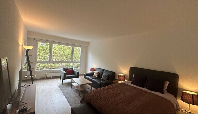 Renovated Suite Geneva City Center