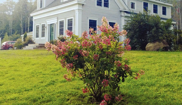 Renovated, Sunny 1850's Island Farmhouse