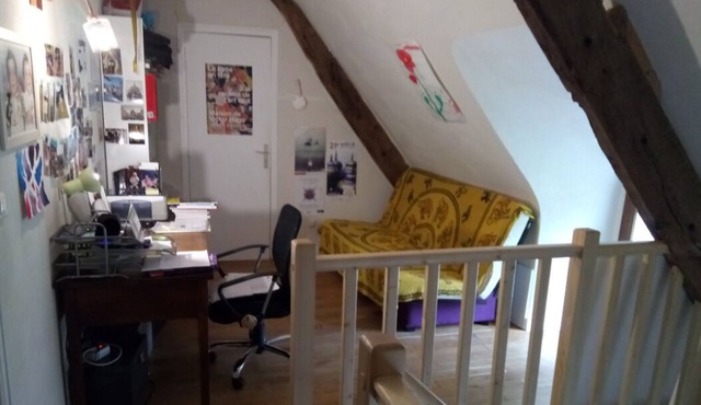 Renovated thatched cottage in Brière