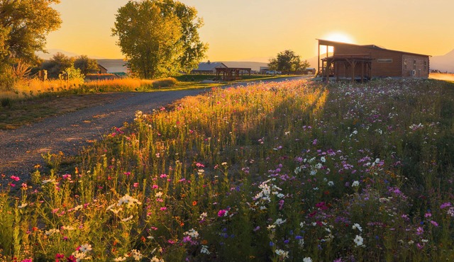 Rent 2 luxury cabins: sleep 16! Fire pits, outdoor dining, stunning skies on the edge of Cody.