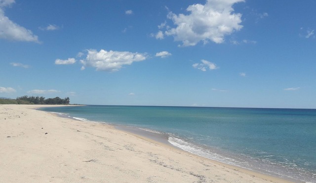 Rent a mini villa in a quiet garden with 4/6 pers 600m walk from a sandy beach