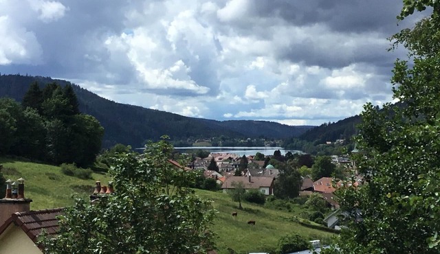 Rent Chalet close beautiful environment ski slopes 4 to 6 people