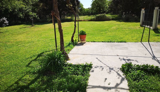 Rent house 120 m², air-conditioned, surrounded by woods, for holidays