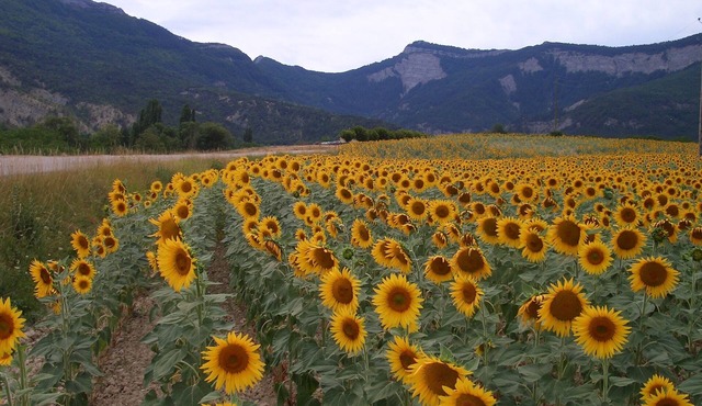 RENT HOUSE DIOIS DRÔME - VERHUUR VAKANTIEHUIS BIJ DE STAD DIE IN ZUID-FRANKRIJK
