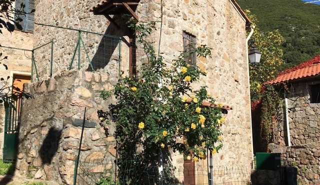 Rent House Ocana 6 people