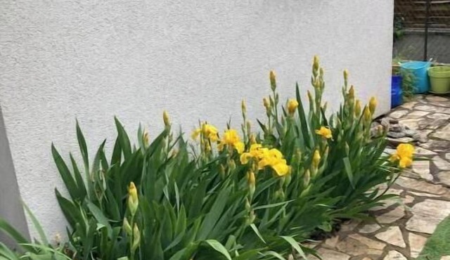 Rent pretty small furnished room with bathroom, near nature, parking