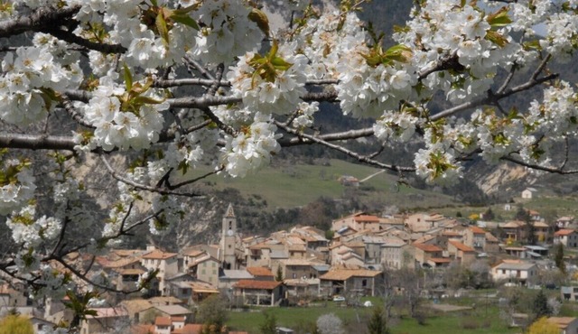 Rental 3 * COTTAGE Méailles (04240)