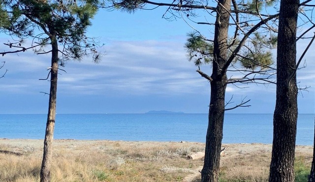 RENTAL - all year round Plage de la Marana Borgo