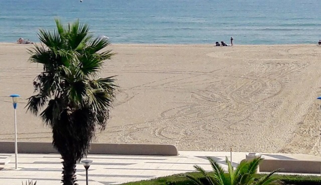 Rental apartment F2 calm facing the sea direct beach access Canet-en-Roussillon