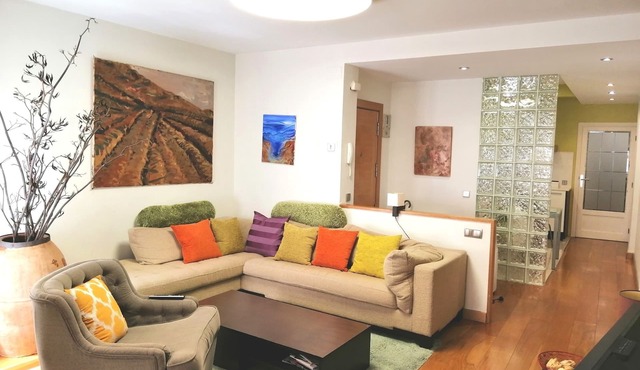 Rental Apartment Logroño (center)