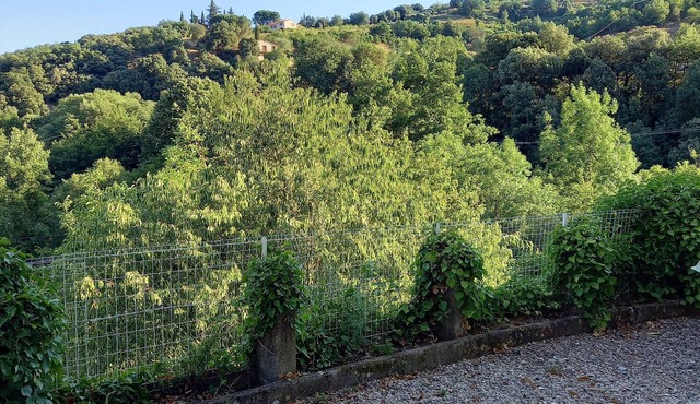 Rental apartment near CERET