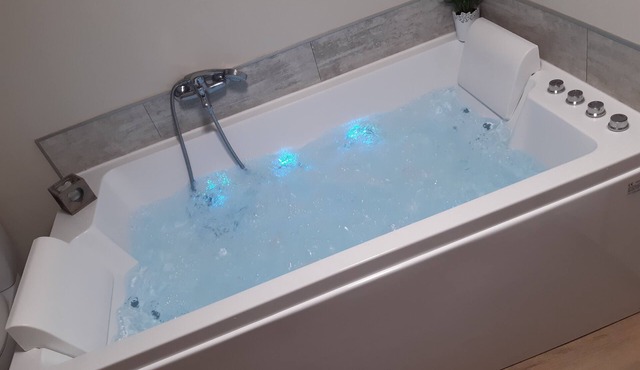 RENTAL BALNEO DUO NE ZOO BEAUVAL Saint-Aignan-sur-Cher and CASTLES