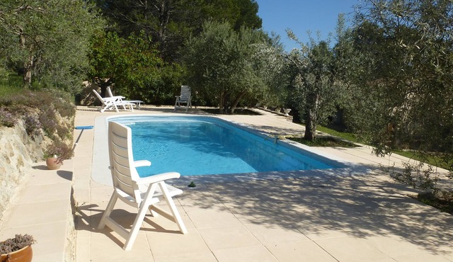 Rental house with private pool on land of olive trees Flayosc