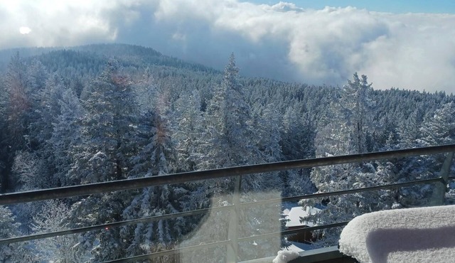 Rental in Chamrousse " l'écrin des neiges " At the foot of the slopes, magnificent view