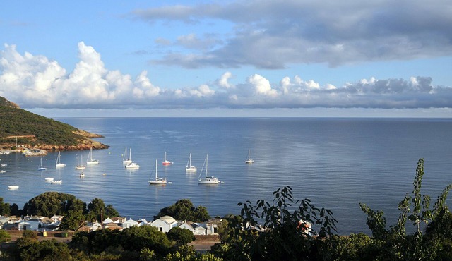 Rental in house 2 to 8 pers. 130m2, terrace 70m2 on gulf, beach 300m.