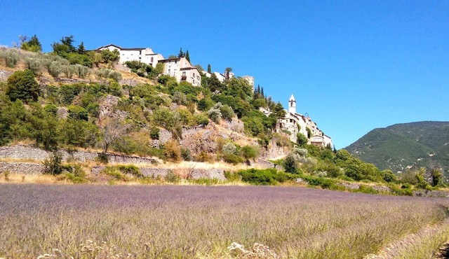 Rental in Provence at the foot of the Ventoux