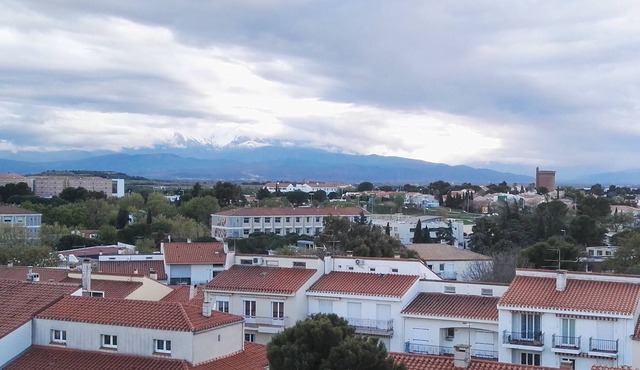 Rental large sunny apartment of 80m² in Perpignan - 2 terraces 6 people