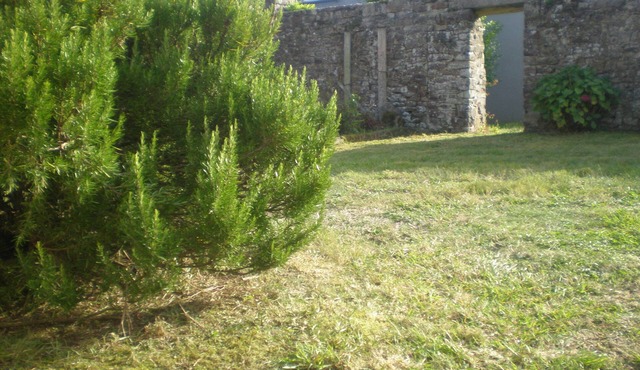 Rental of a farmhouse in Plouezec for 5 people