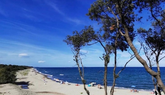 Rental of a T3 apartment on the ground floor. 6 people (5 adults)