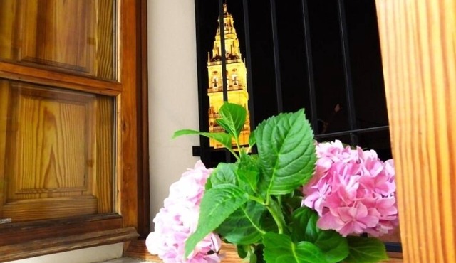 Rental unit in Córdoba · ★4.80 · 1 bedroom · 2 beds · 1 bath