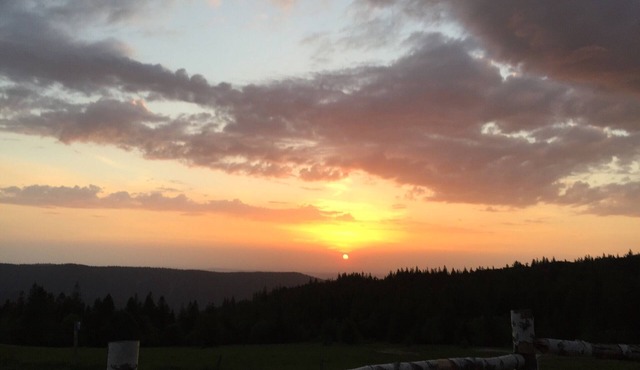 Rents a double room in a large house