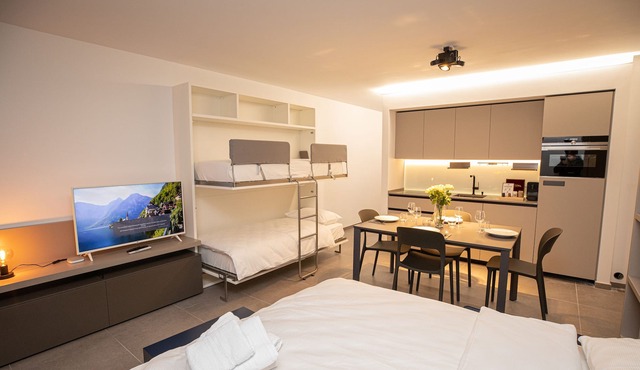 Res.3544 Apt Standard 102, Lumino, Switzerland